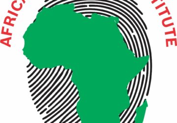 AFRICAN ELECTORAL INSTITUTE WISHES USA WELL IN THE UPCOMING ELECTIONS