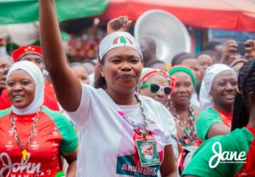 2024 POLLS:If Your Leaders Tell You To Fight, Let Their Children Lead – Kokofu To NDC Supporters