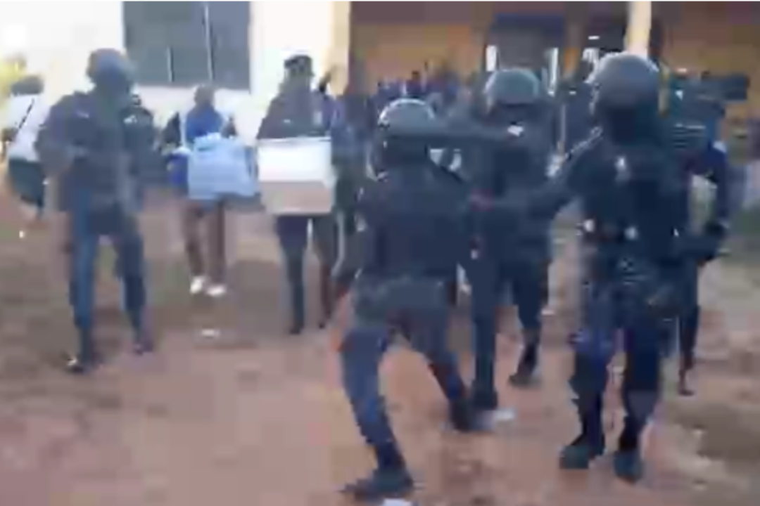 NPP Walewale primary nullified after ballot snatching incident