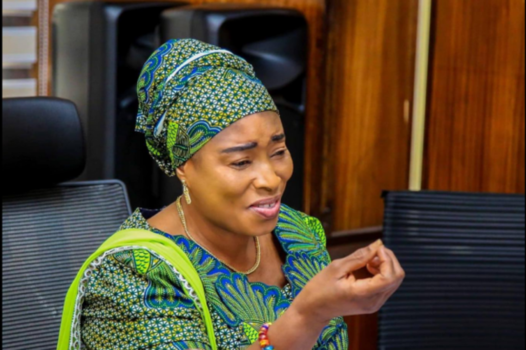 Walewale MP, Lariba Abudu pulls out of NPP primaries