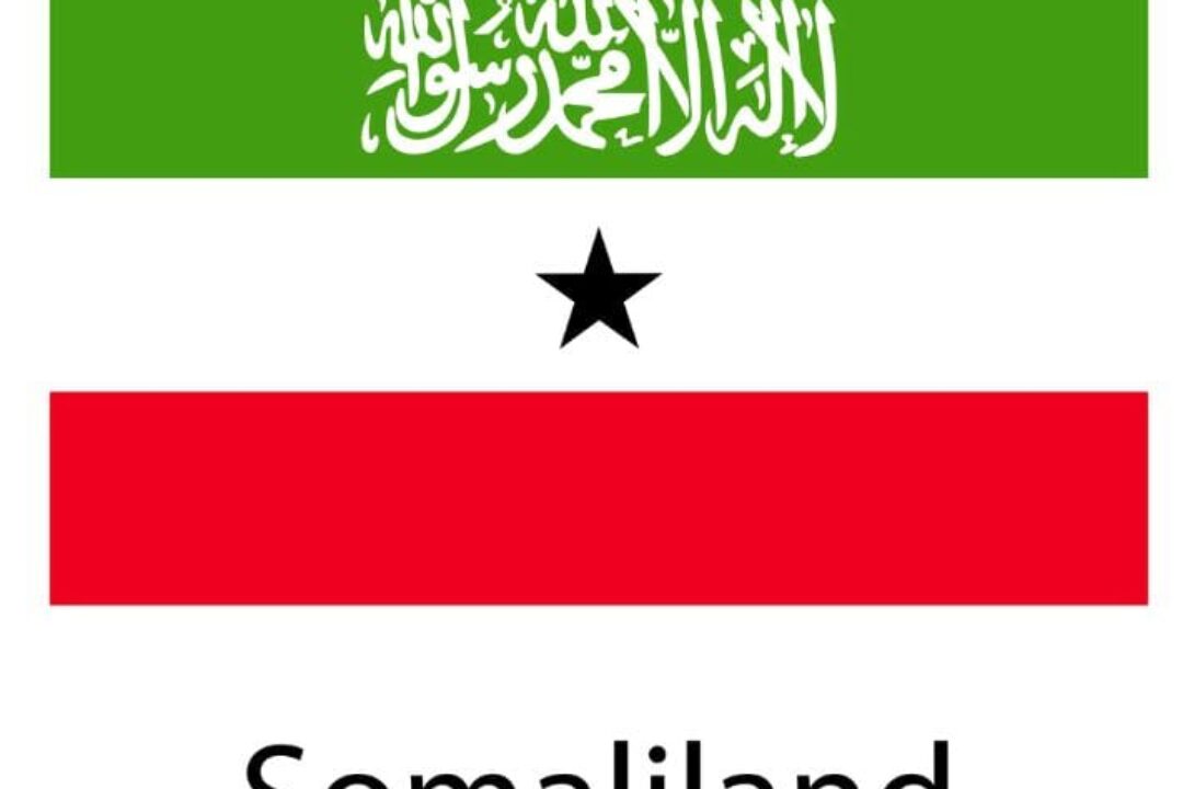 AFRICAN ELECTORAL INSTITUTE (AEI) WISHES SOMALILAND PEACEFUL ELECTIONS