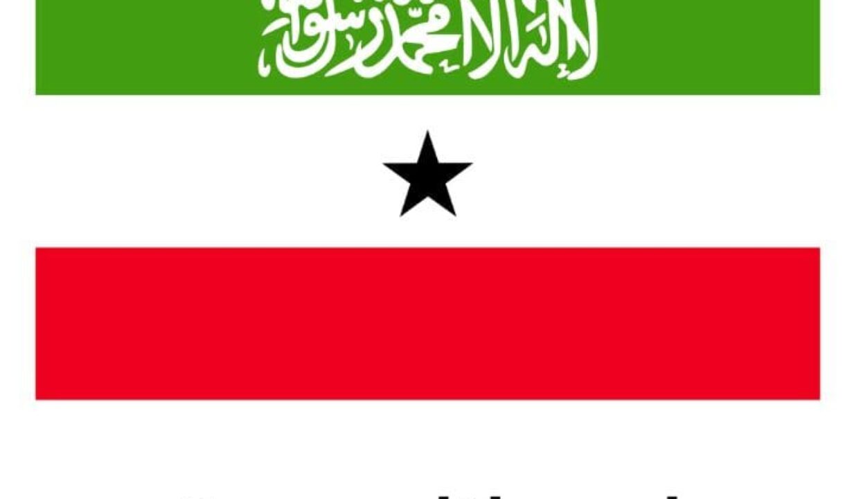 AFRICAN ELECTORAL INSTITUTE (AEI) WISHES SOMALILAND PEACEFUL ELECTIONS