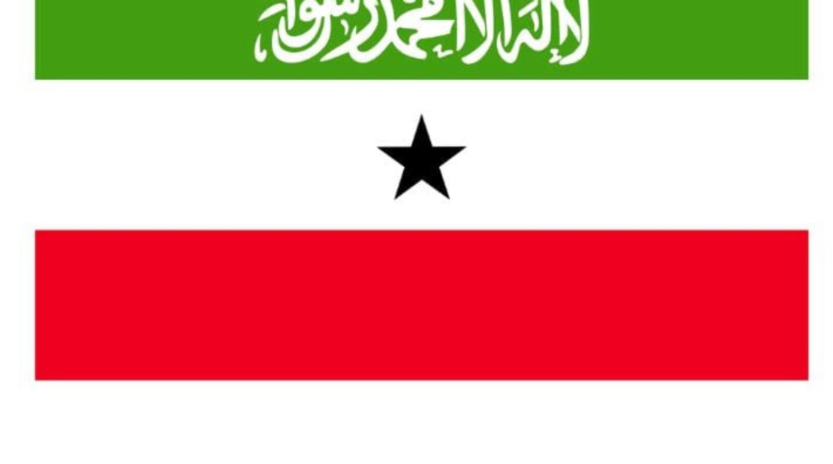 AFRICAN ELECTORAL INSTITUTE (AEI) WISHES SOMALILAND PEACEFUL ELECTIONS