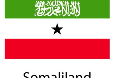 AFRICAN ELECTORAL INSTITUTE (AEI) WISHES SOMALILAND PEACEFUL ELECTIONS