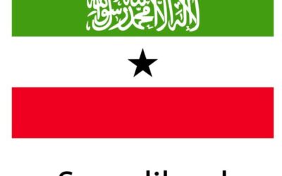 AFRICAN ELECTORAL INSTITUTE (AEI) WISHES SOMALILAND PEACEFUL ELECTIONS