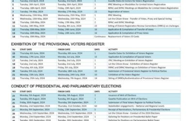 AEI urges continued vigilance as Ghana enters into last phase of its electorate process for 2024 polls