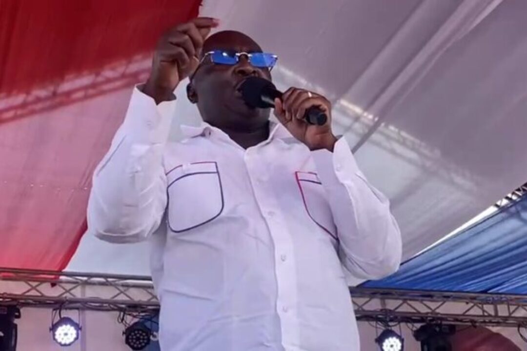 My govt will set up tomato processing factory in Offinso North-Bawumia announces