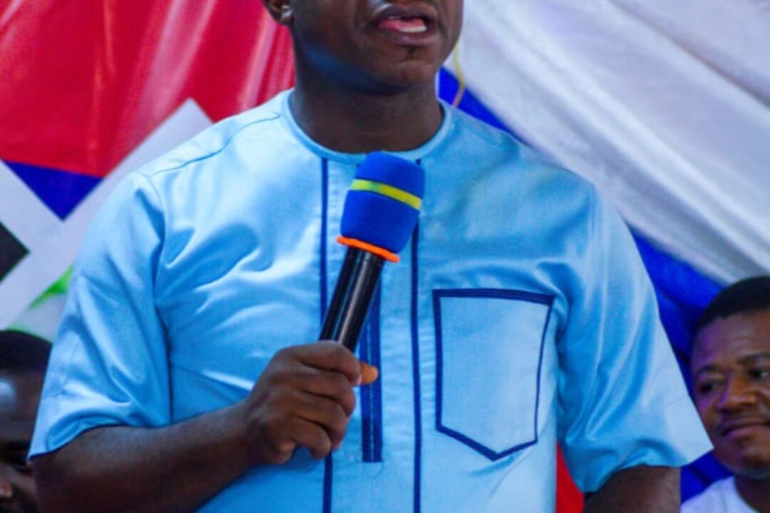 2024 Polls: Talk about your policies & stop insulting Kufuor, chiefs, others – Francois tells Mahama