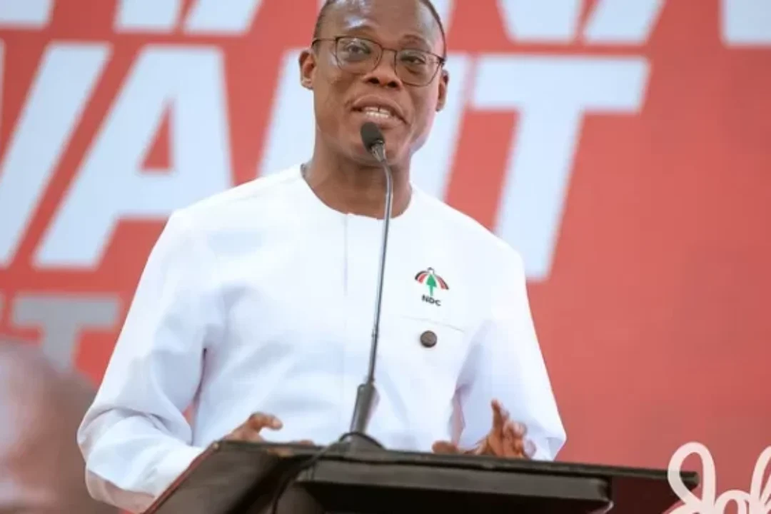 Fifi Kwetey’s declaration:NDC will use Parliamentary majority responsibly