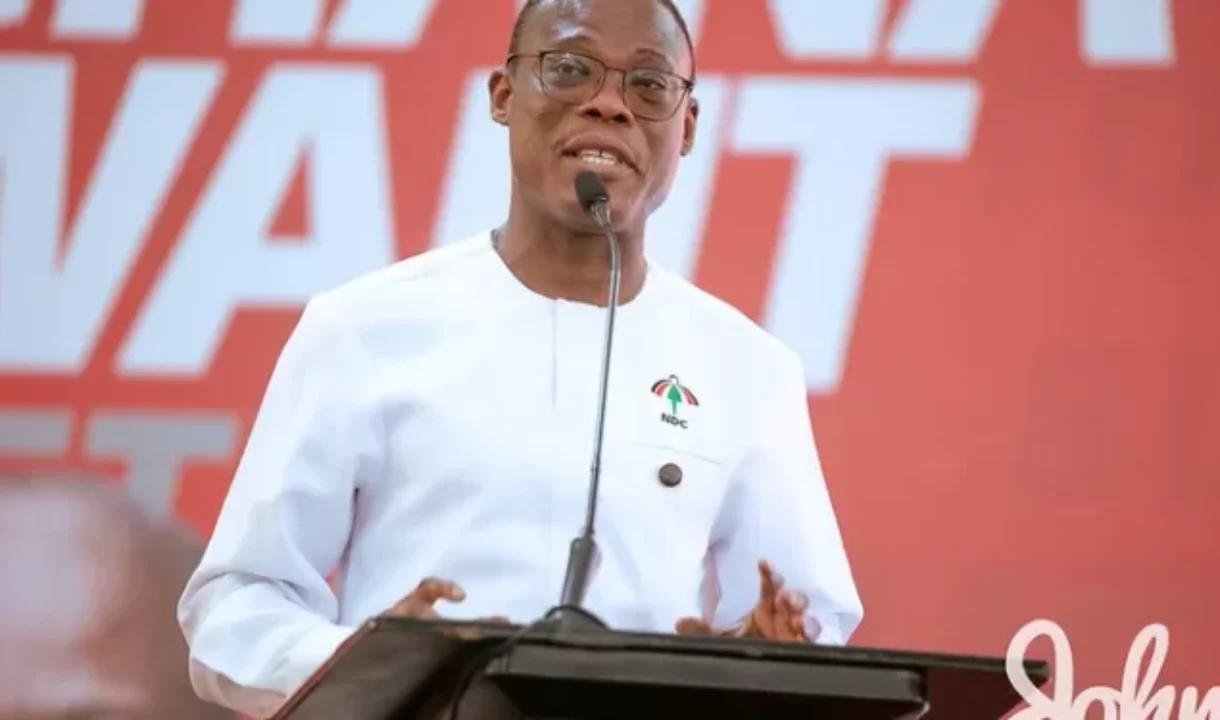 Fifi Kwetey’s declaration:NDC will use Parliamentary majority responsibly