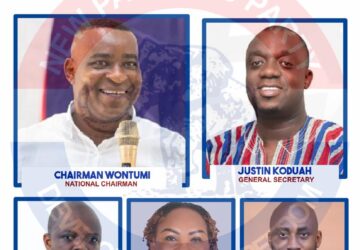 NPP decides 2028: Is Wontumi eyeing National Chairmanship position