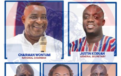 NPP decides 2028: Is Wontumi eyeing National Chairmanship position