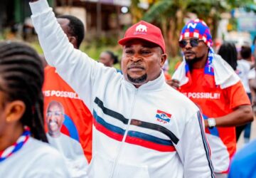 2024 general election: Stop blaming others; we caused our own defeat – Sir John to NPP supporters