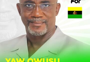 Chairman Yaw Owusu Obimpeh wins rerun Ashanti Council of State representative election