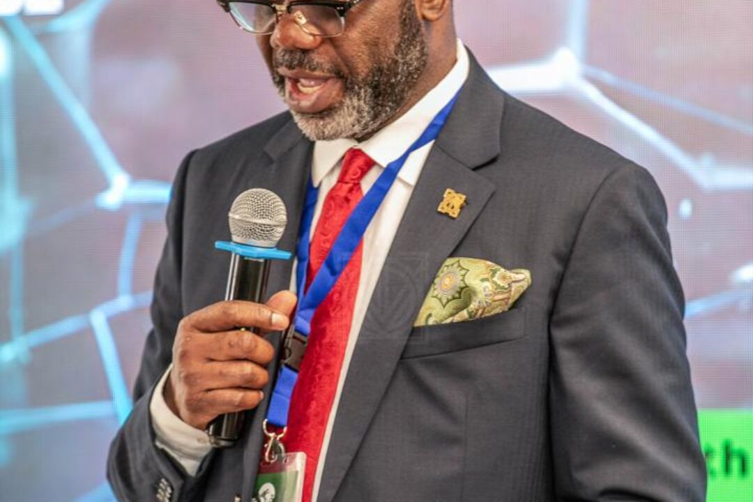 Let’s embrace political leadership that champions sustainability in all sectors – Napo urges Africans