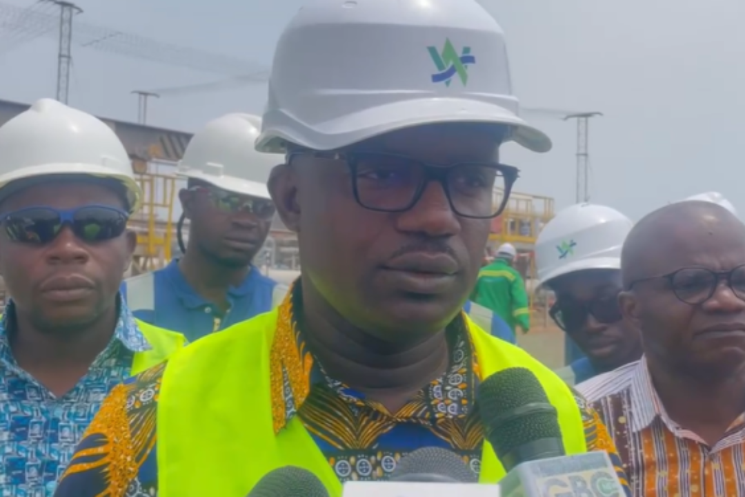 ECG is not for sale-Energy Minister clears air