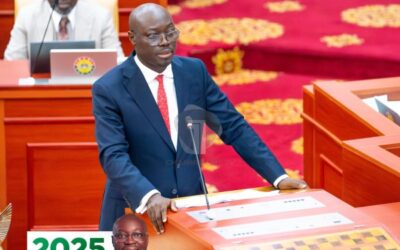 Support 2025 budget to drive transformation-Finance Minister begs MPs