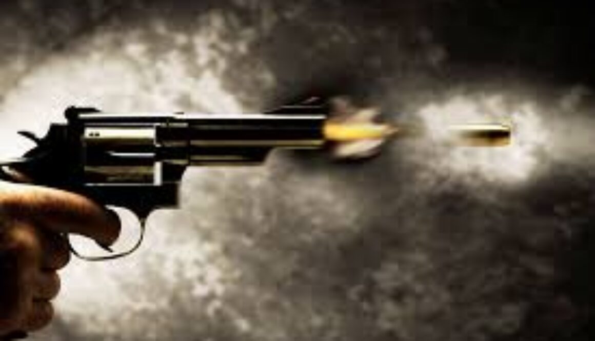 gun pic