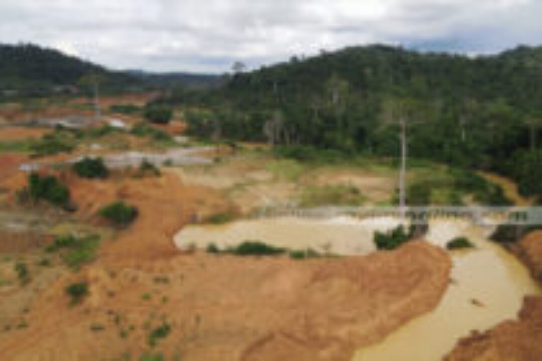 CSOs condemn arrest of forestry officer, demand Police commander’s removal over galamsey