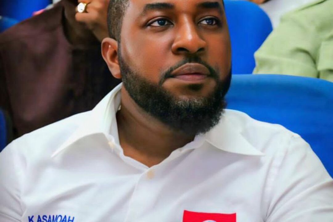 Let’s use 2024 elections defeat to refresh and strategise for 2028 – Former Deputy MASLOC boss to NPP members