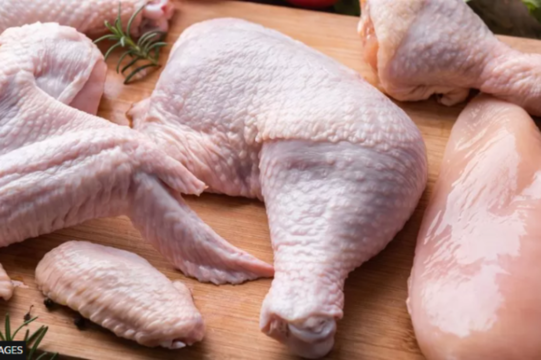 $400m annual imports of chicken is a shame-Prez John Mahama declares