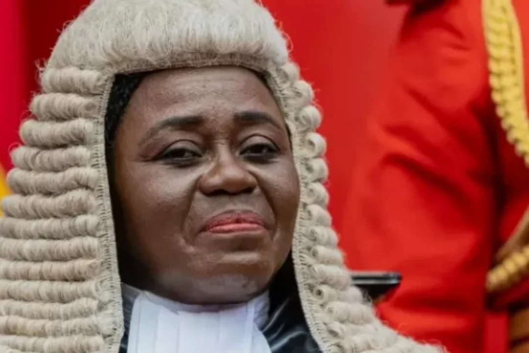Suspended CJ petitions Supreme Court to disqualify 2 Justices over alleged bias