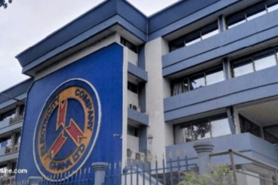 Minority rejects further electricity tariff hikes, demand better performance from ECG