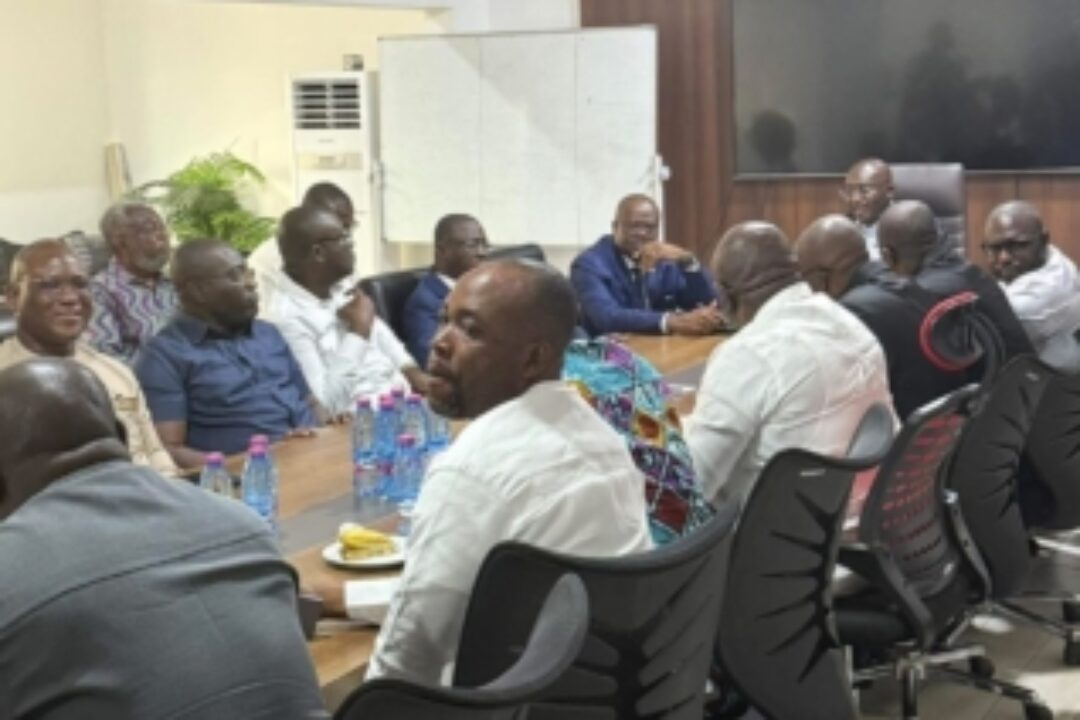 Over 60 NPP MPs endorse Dr.Bawumia ahead of 2026 flagbearership contest