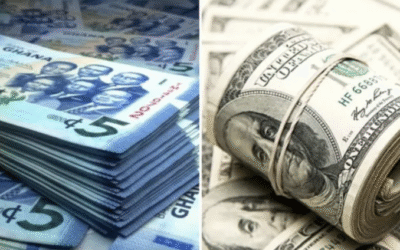 IMF’s caution against artificial stability of Cedi vindicates our red flag – IERPP declares
