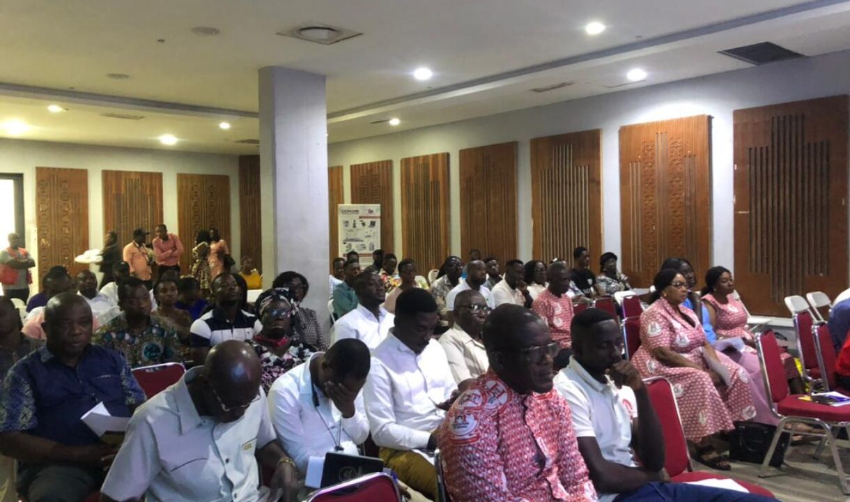 Private Health Facilities Urge Ghana Government to Post Nurses to Private Hospitals