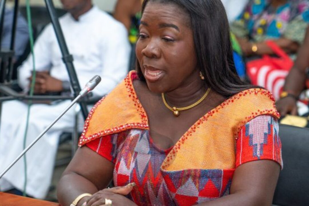 Mahama’s govt scraps 1D1F, shifts focus to agro-processing parks under 24-hour economy