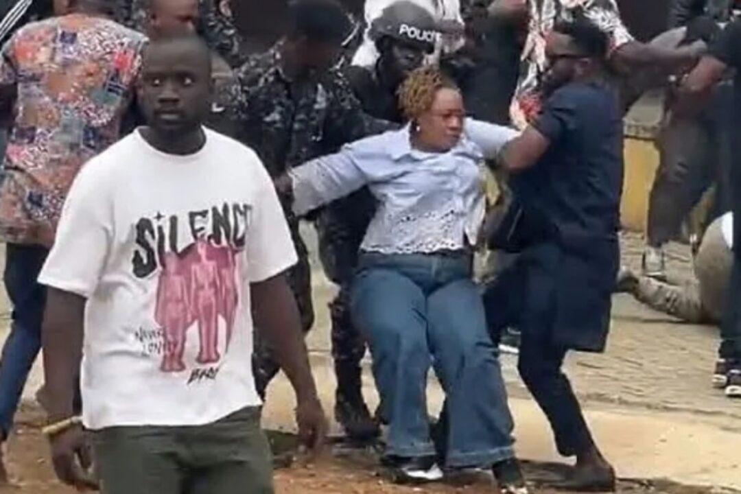 Nothing justifies assault on Hawa Koomson-Tony Aidoo declares