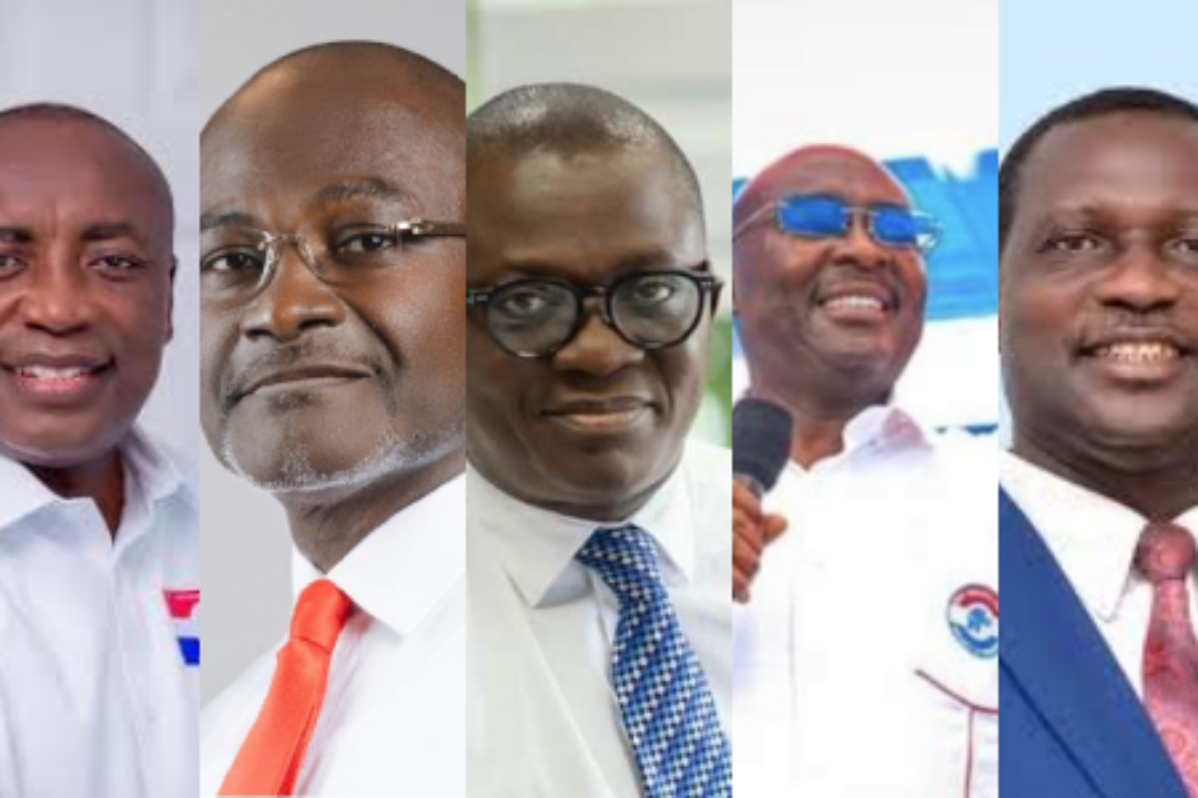 NPP maintains ban on proxy voting for 2026 Presidential Primary