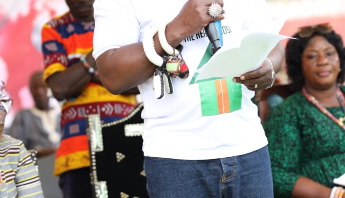 Togbe Kwasinyi Kakaklolo Agyeman V, Executive Director of Wellness Bridge Initiative and Chief of Adidome,