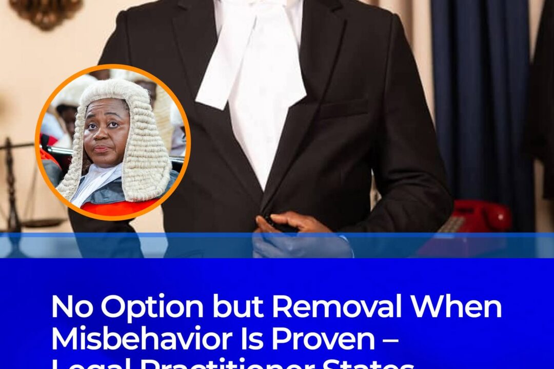 No option but removal when misbehavior is proven – Legal Practitioner declares