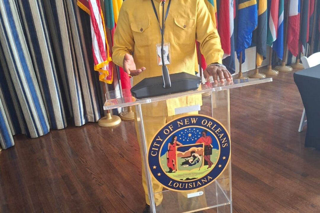 Be alert to NDC tricks & propaganda ahead of 2028 polls – NPP leadership told