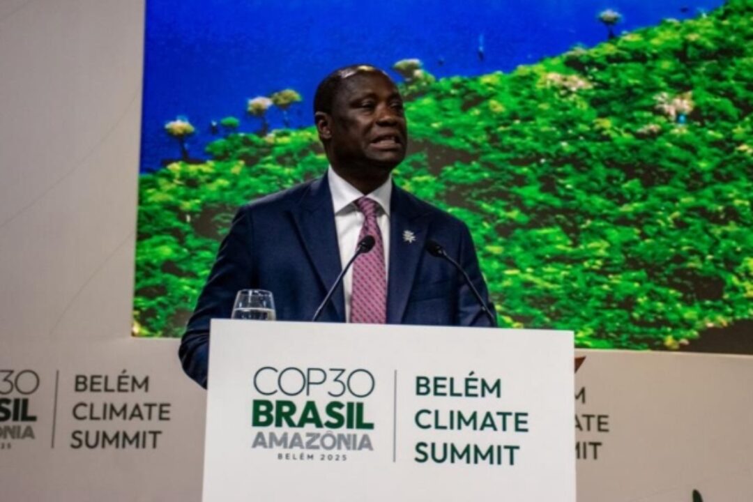 COP30: Lands Minister tells world leaders Ghana is ready to power Africa’s clean energy future