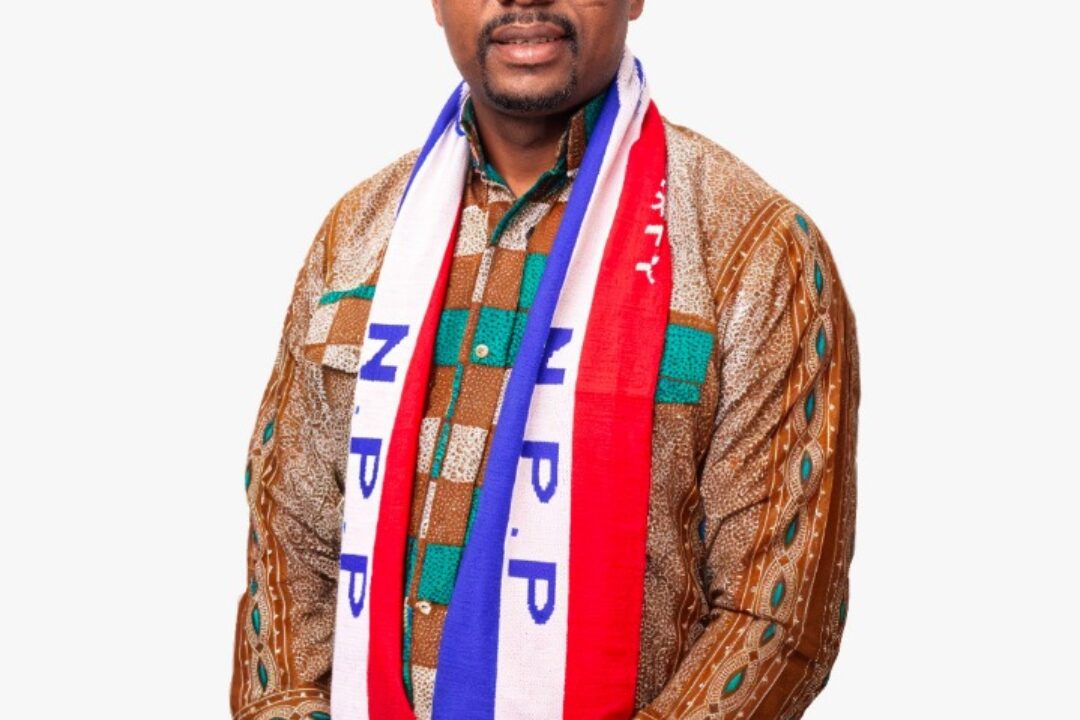 Consider Creation of Polling Centres in Diaspora branches for the upcoming Presidential Primaries-Thomas Oheneba Boakye petitions NPP GS