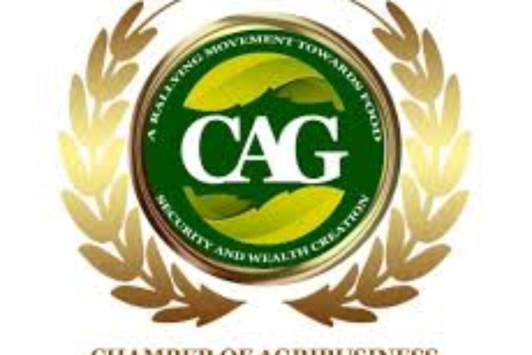 Chamber of Agribusiness Ghana calls for 3-month rice import moratorium,repeal of L.I.2432 & strategic state intervention