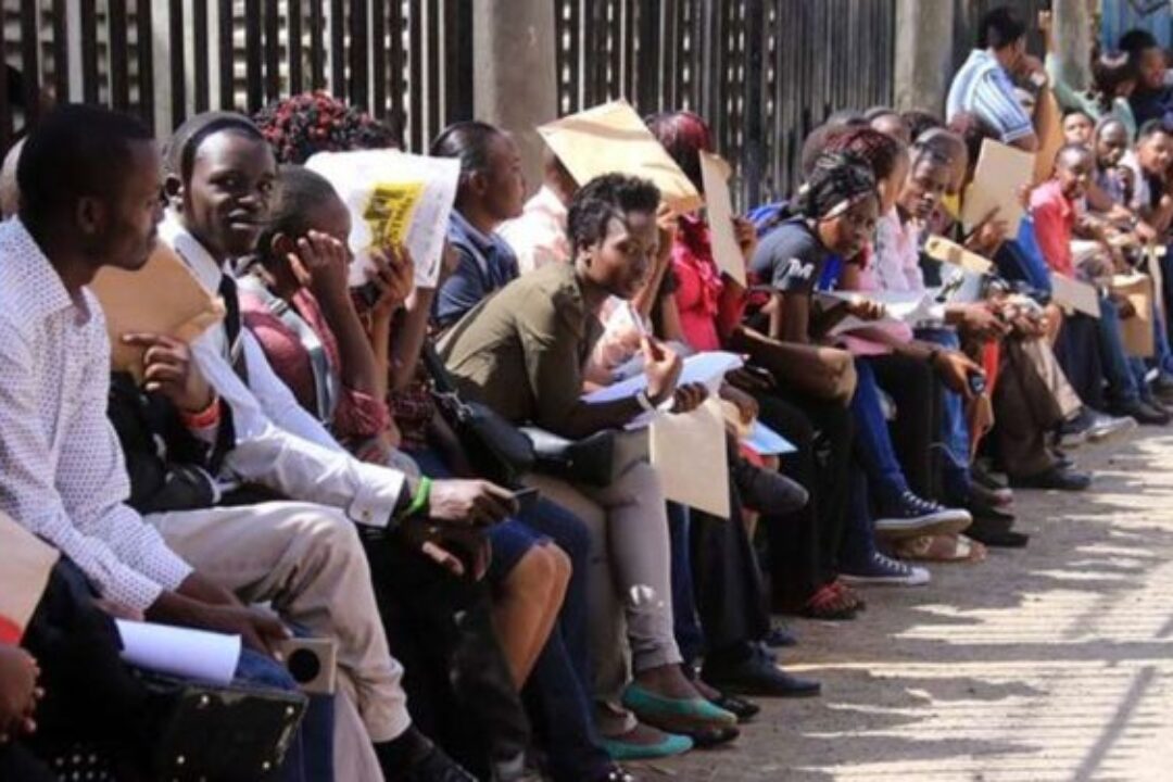 Unemployment stays high at 12.8% in first three quarters of 2025-GSS reveals
