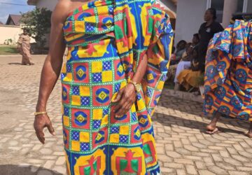 Redouble your efforts in the fight against illegal mining – Nana Yaw Agyei urges President Mahama