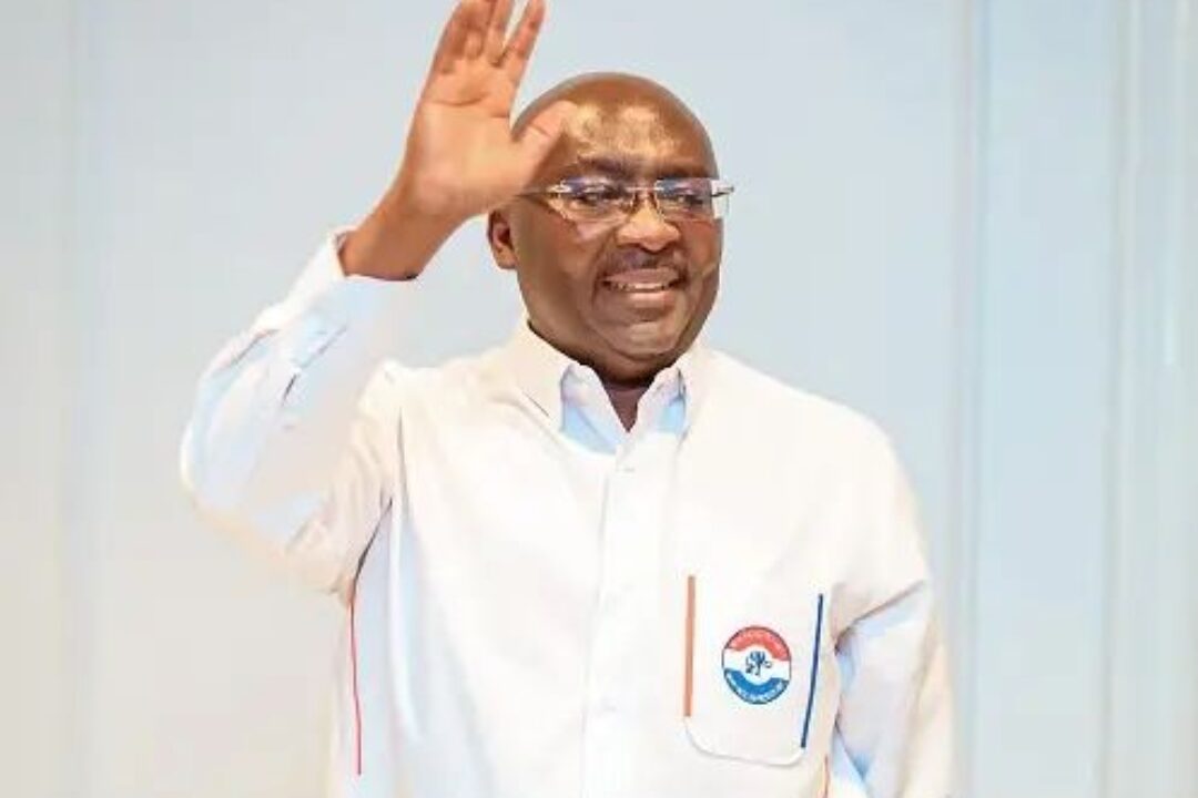 Bawumia urges NPP delegates to back his presidential bid