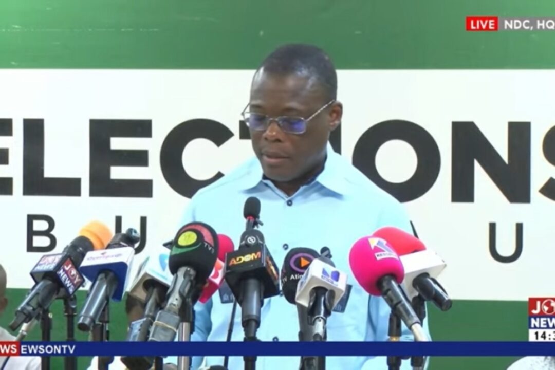 NDC bars govt appointees from contesting Party executives positions