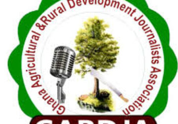 Call for Pitches – Save Our Seas Media Reporting Grants