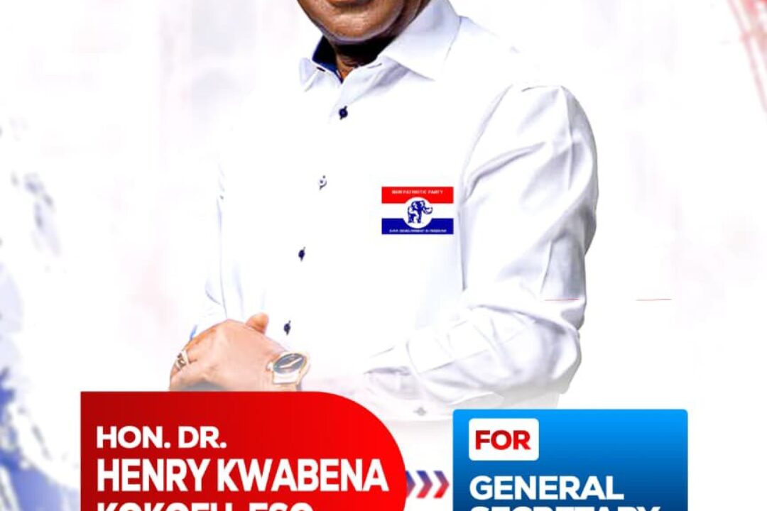 Group chases Kokofu to join Ashanti NPP chairmanship race