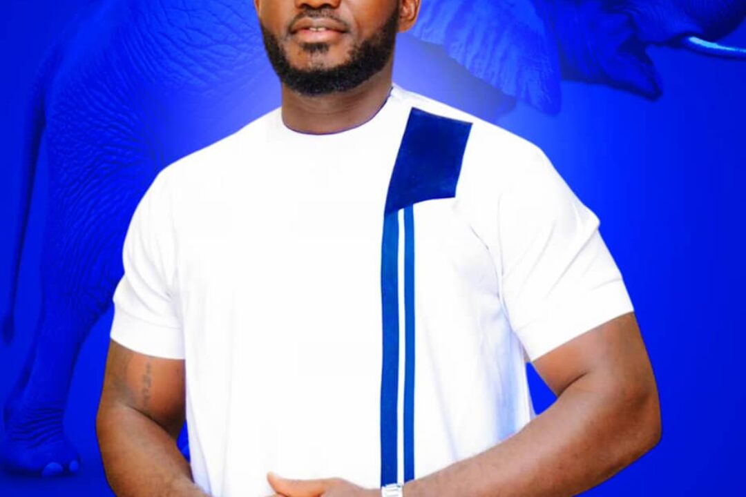 Adopt top to- bottom approach for internal elections – NPP national 1st vice chairman hopeful urges leadership