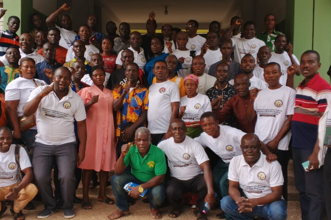 GCCFA rejects reduction of producers’ price  for cocoa & makes several proposals to government