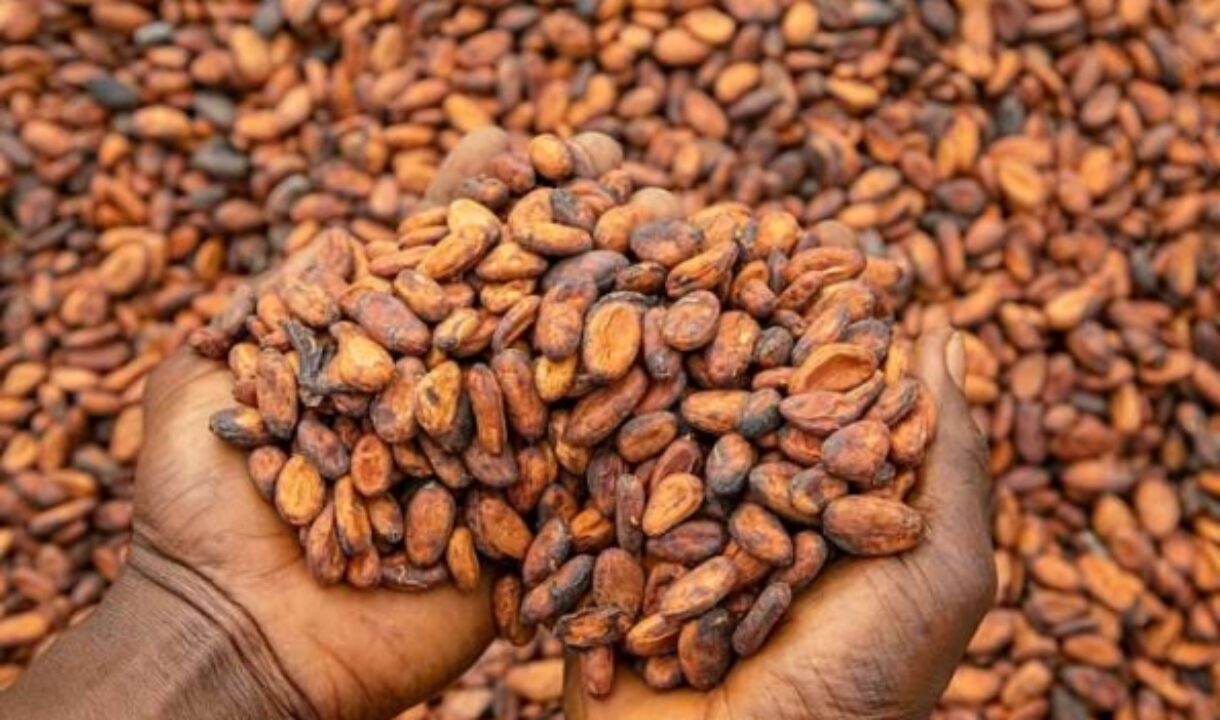 Govt sets new farmgate cocoa price at GH₵41,392 per tonne for 2025–2026 season