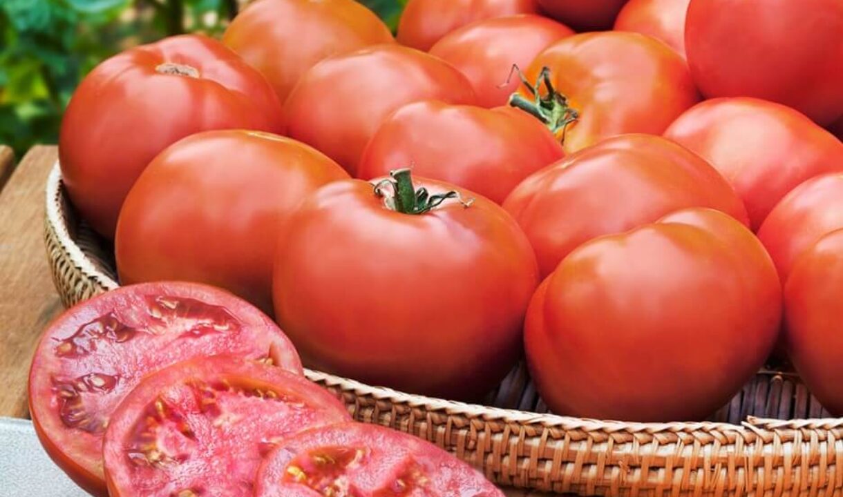 GARDJA calls on government, relevant authorities & regional partners to ensure safe return of survivors of terrorist attack