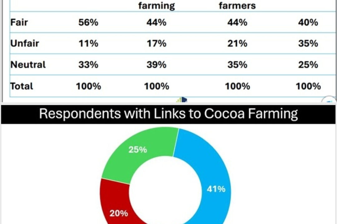 56% of Cocoa Farmers says price reduction is fair – Global InfoAnalytics